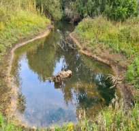 Charvil Backwater - September 2021